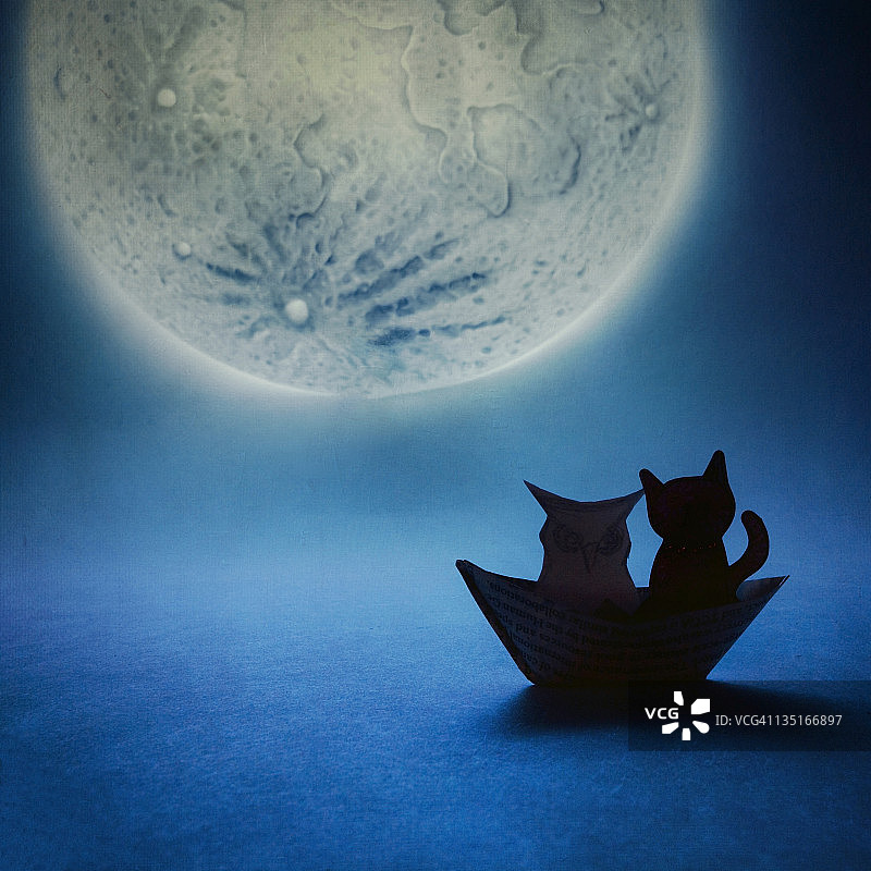 猫头鹰和小猫图片素材