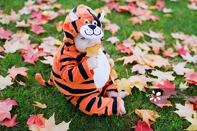 穿着老虎服装的小女孩图片素材