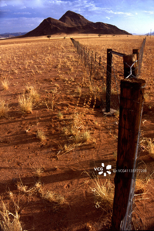 纳米比亚的篱笆柱图片素材