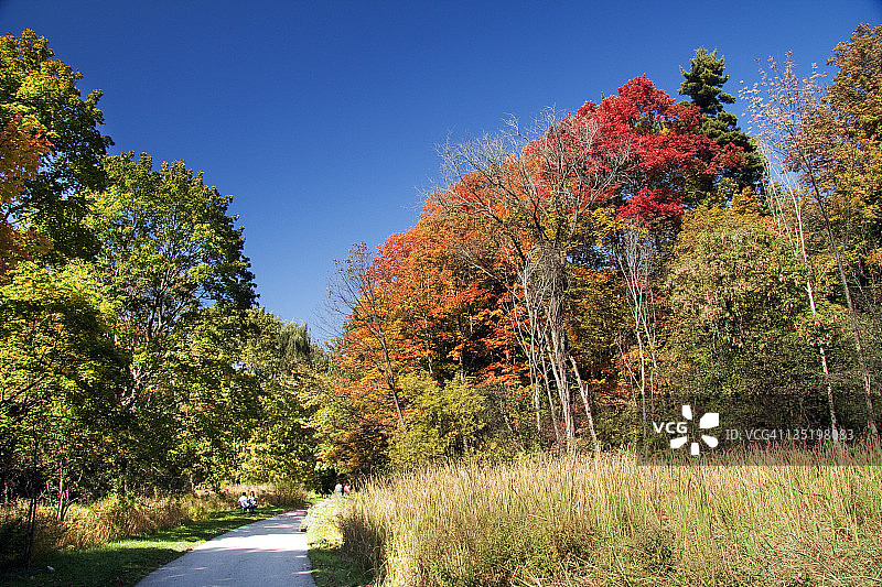 森尼布鲁克公园小径图片素材
