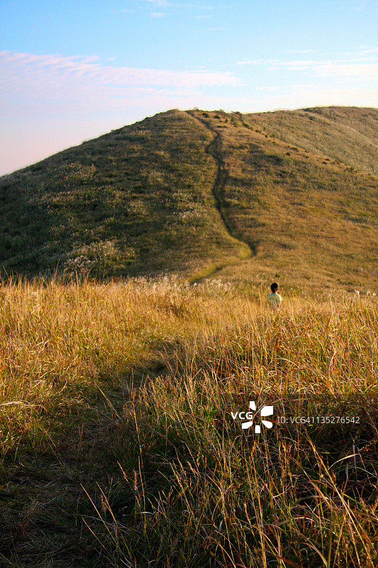 高草丛中的男孩图片素材