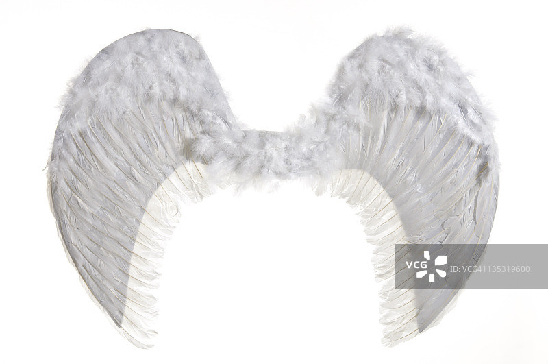 白色人造翅膀图片素材