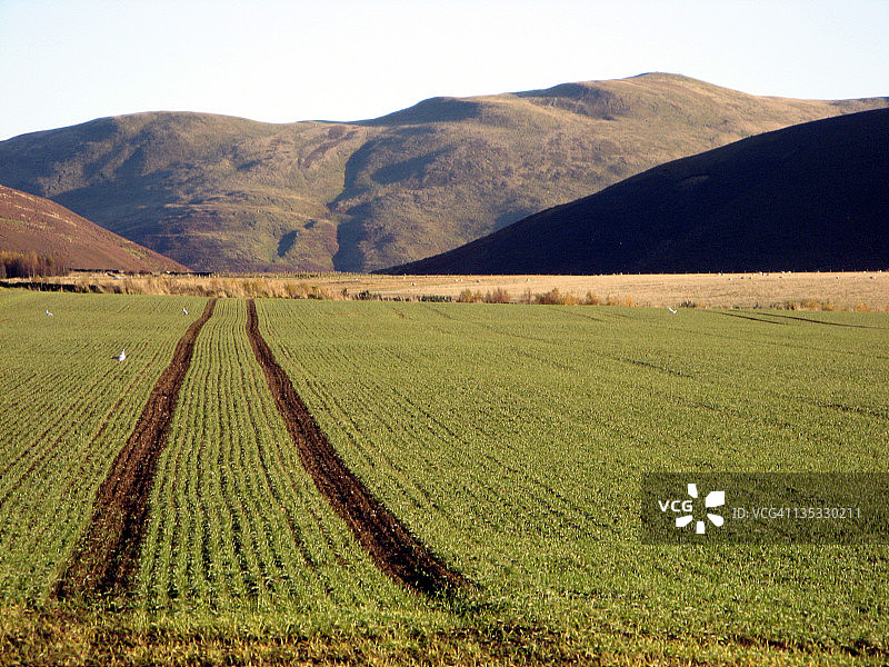 田野图案，奔特兰丘陵图片素材