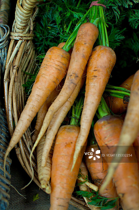 小胡萝卜图片素材