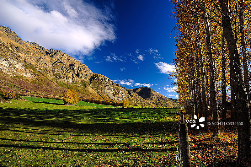 瓦尔特峰牧场图片素材