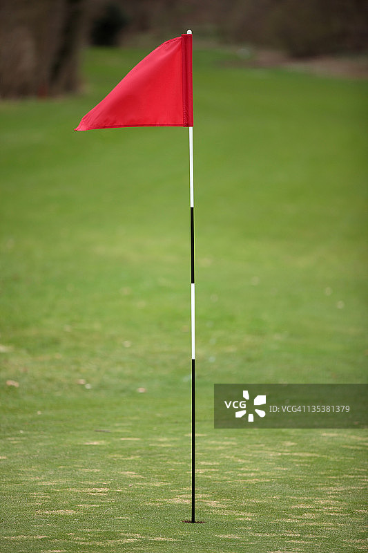 果岭上的高尔夫球旗图片素材