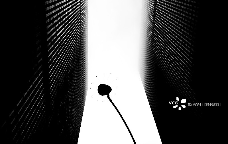 消失在雾中的城市塔楼图片素材