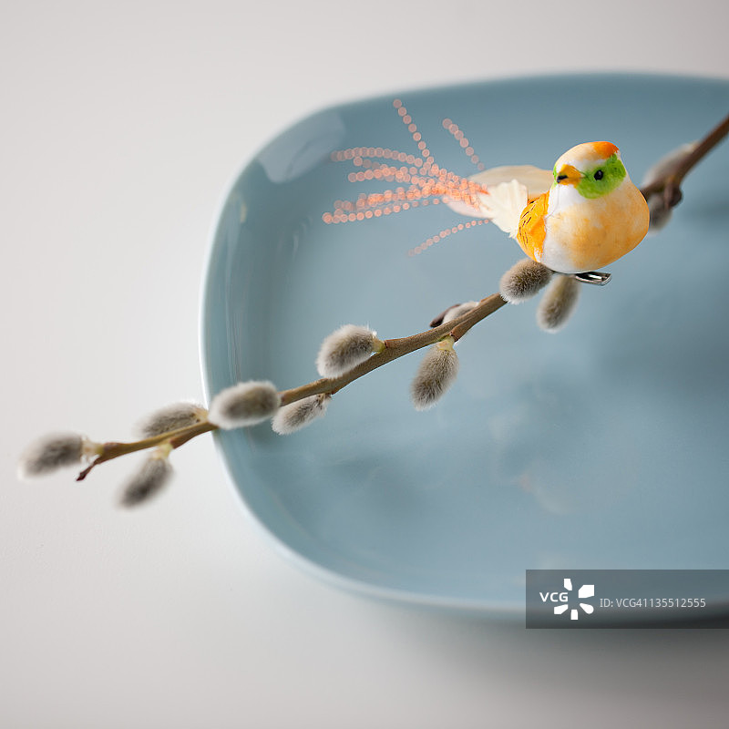 盘子上的柳絮和鸟图片素材