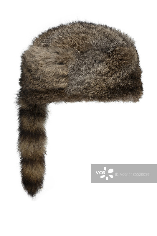 貉的形象图片素材