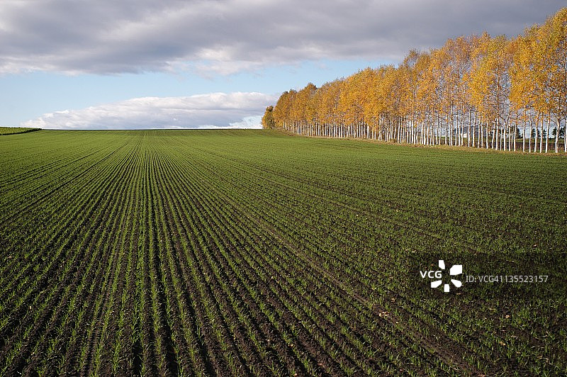 阿寒湖附近的景色图片素材