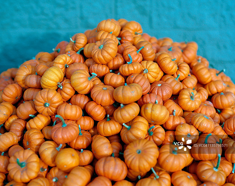 迷你南瓜图片素材