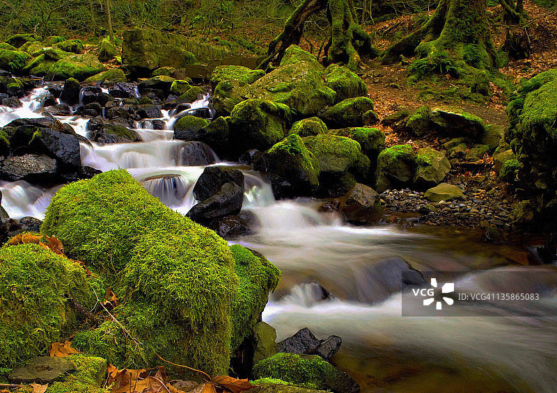 永恒的动感图片素材
