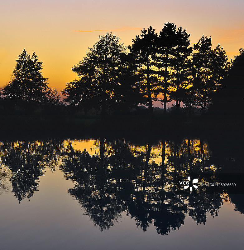 湖边树木剪影图片素材