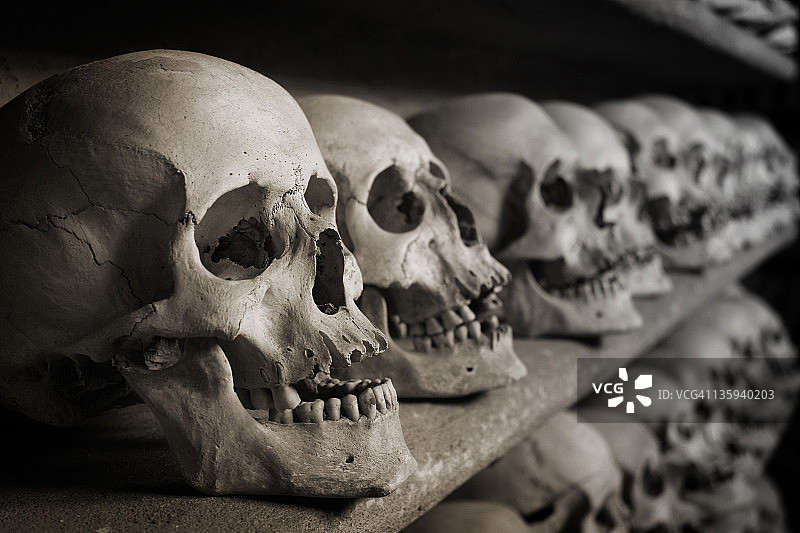 架子上的骷髅头图片素材