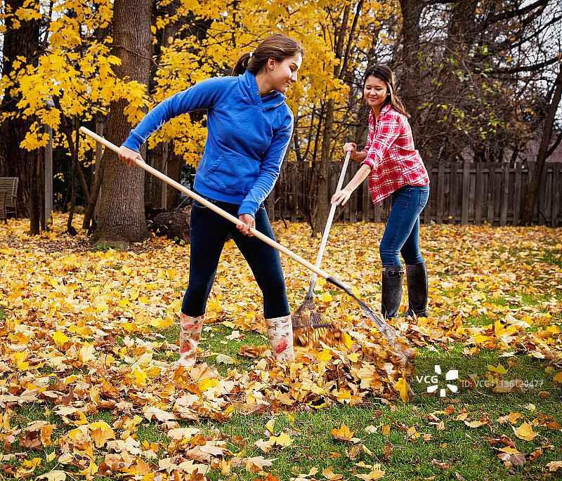 少女们在后院耙树叶图片素材
