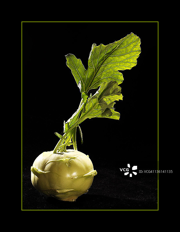 黑色背景上的卷心菜图片素材
