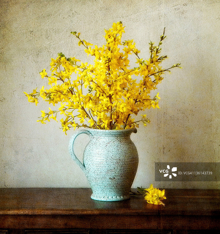 水罐中的春天图片素材