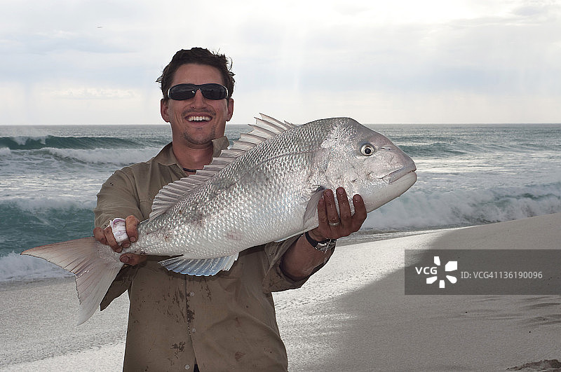 鲷鱼的捕获图片素材