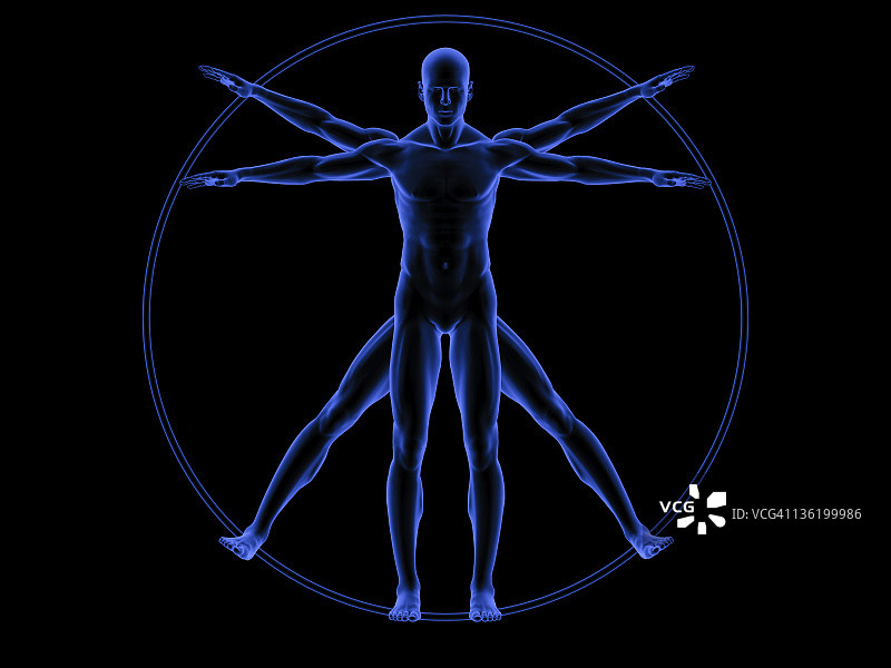 维特鲁威人图片素材