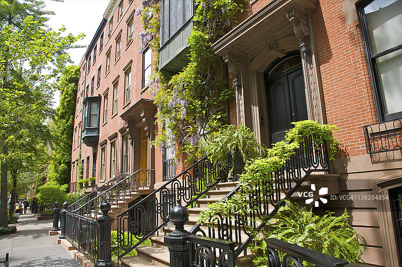 生长在栏杆和联排别墅前的紫藤图片素材