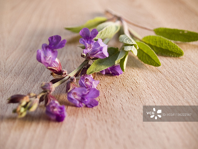 甜马郁兰花图片素材