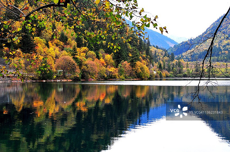 熊猫湖图片素材