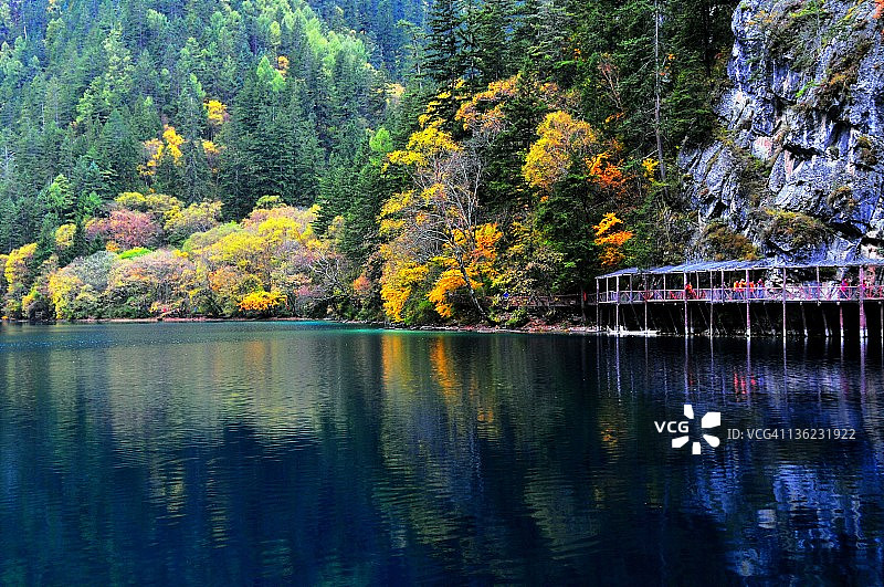 熊猫湖图片素材