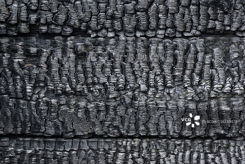 烧焦的木板墙纹理图片素材