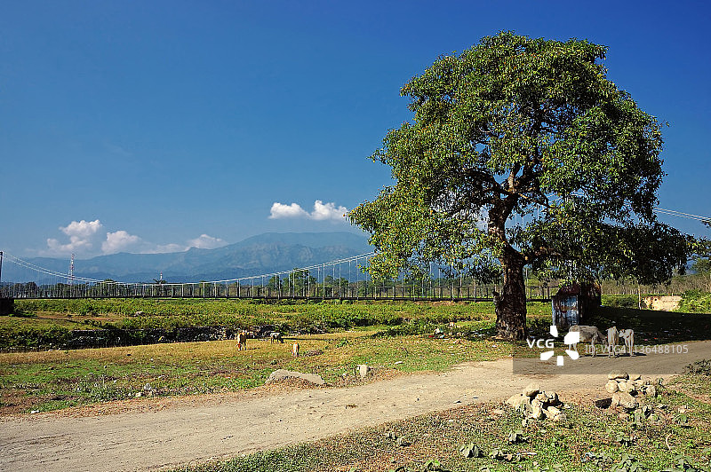 西里古里的悬索桥图片素材
