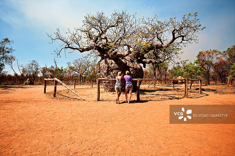 两个女人在德比观看监狱里的猴面包树图片素材