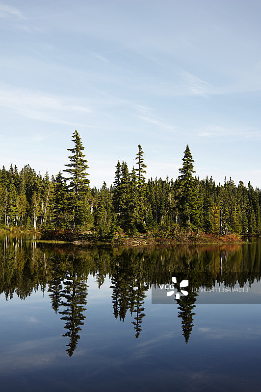 战舰湖上针叶树的倒影图片素材