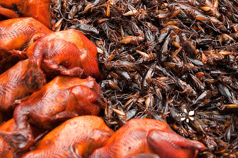 柬埔寨的炸蟋蟀和小鸡图片素材