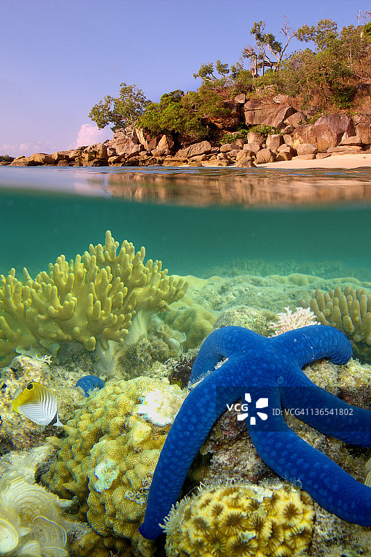 蜥蜴岛礁图片素材