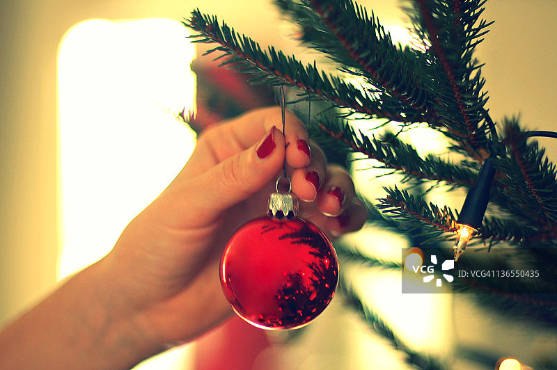 用红色圣诞球装饰圣诞树图片素材