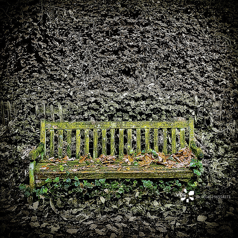 杂草丛生的公园长椅图片素材