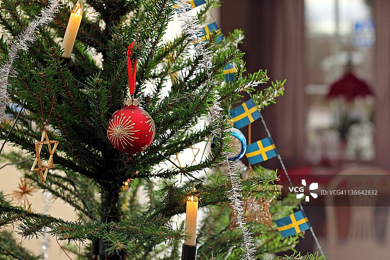 圣诞树图片素材