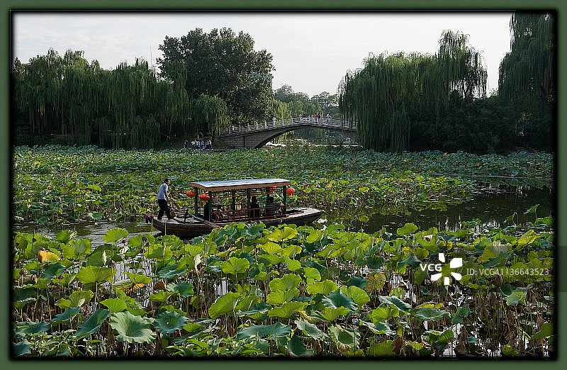 北京紫竹院公园图片素材