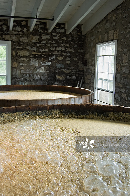 酿酒厂中发酵的新威士忌玉米醪图片素材