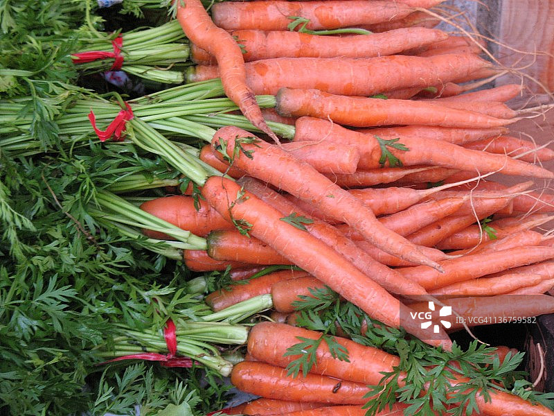 成束的胡萝卜图片素材