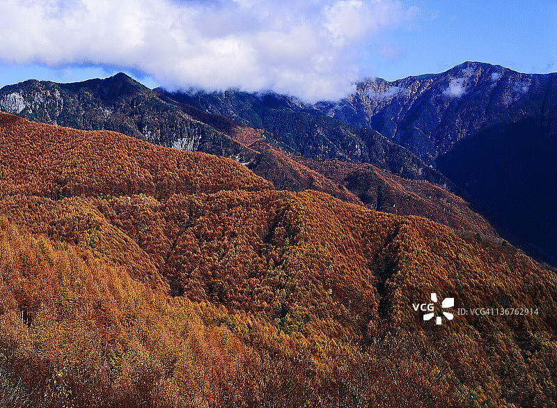 秋叶覆盖的山脉图片素材