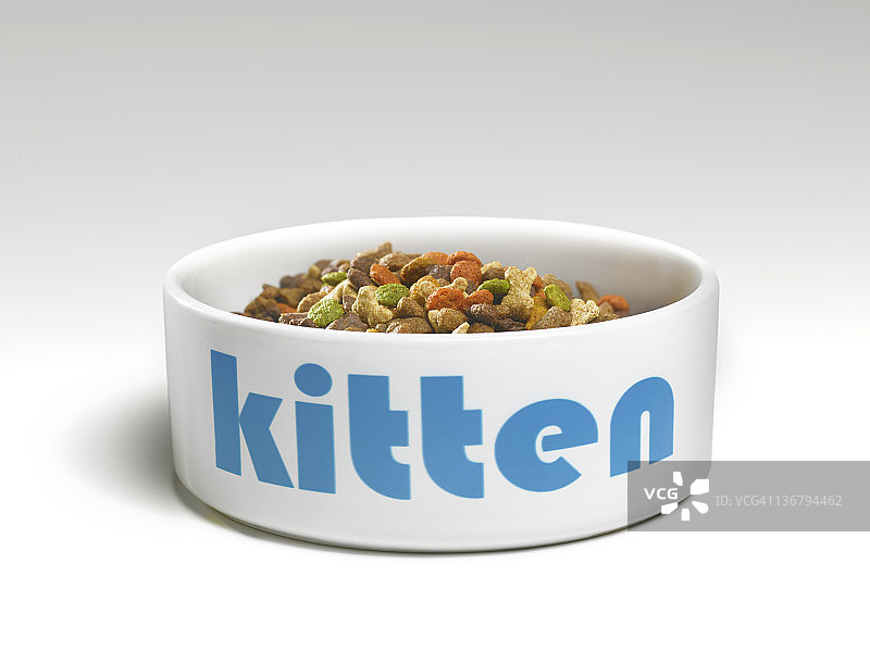 装有食物的猫碗图片素材