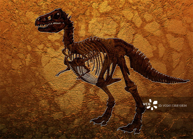 霸王龙化石艺术作品图片素材