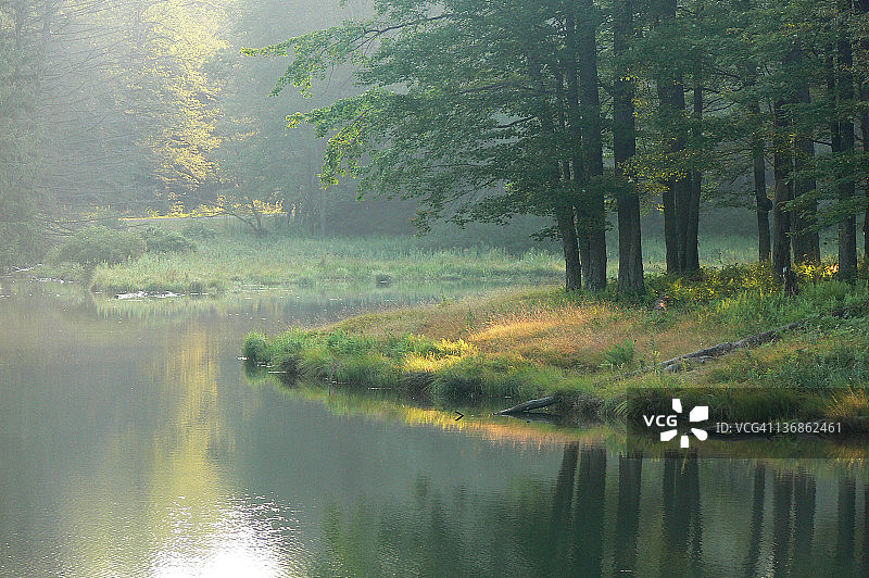 魔法森林图片素材