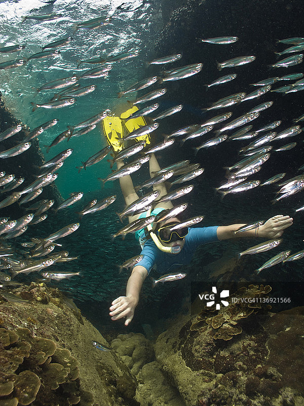鱼群中的潜水员图片素材