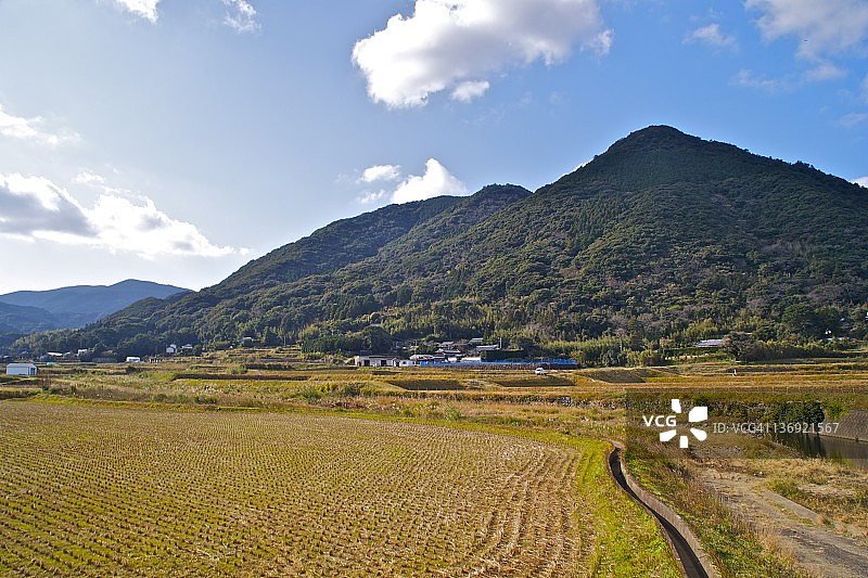 前景是收割后的稻田图片素材