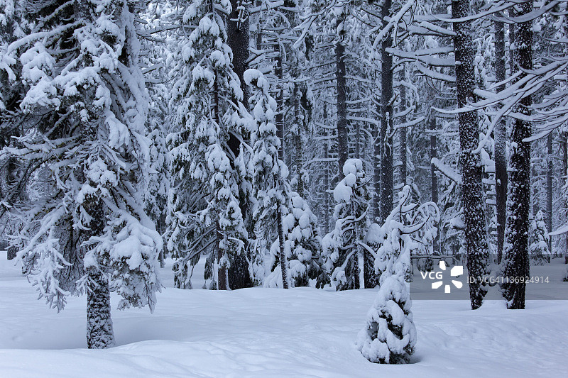 冬季风暴后图片素材