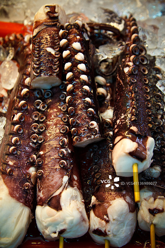 章鱼触手图片素材