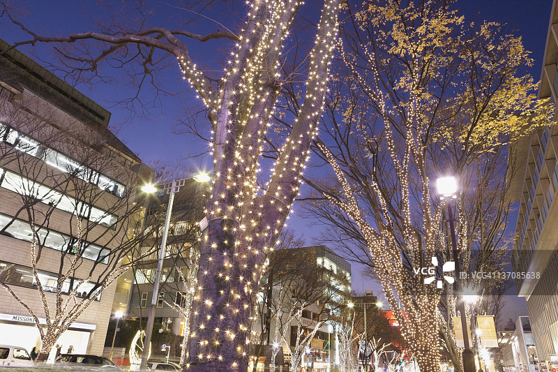 表参道冬季灯光图片素材