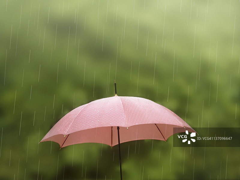 雨落在伞上图片素材