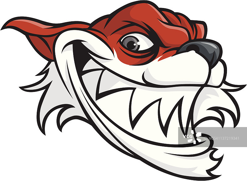 疯狂的狐狸图片素材